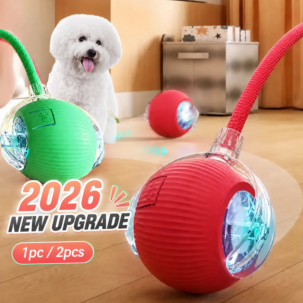 RollBuddy Smart Ball Toy