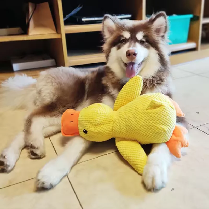 Squeaky Duck Plush Toy