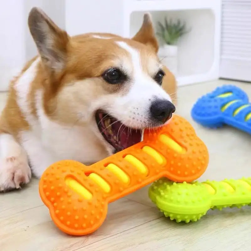 ChompBone Chew Toy