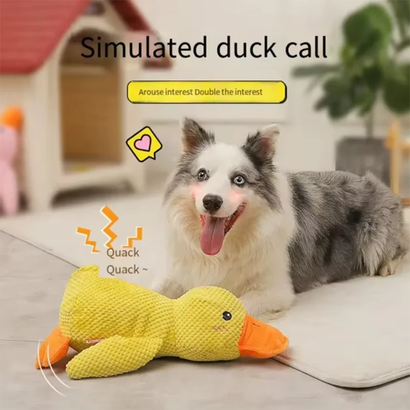 Squeaky Duck Plush Toy