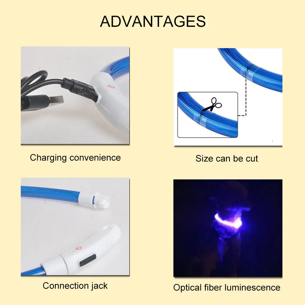 GlowSafe LED Dog Collar