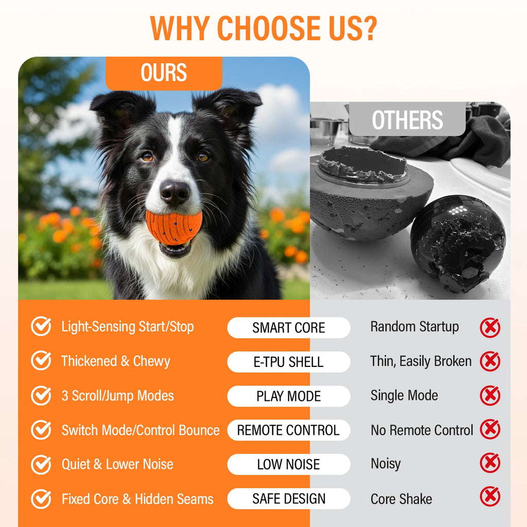 ZoomBall Smart Dog Toy