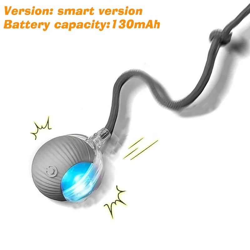 RollBuddy Smart Ball Toy