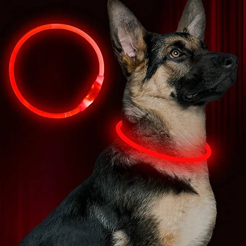 GlowSafe LED Dog Collar