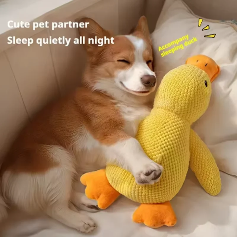Squeaky Duck Plush Toy