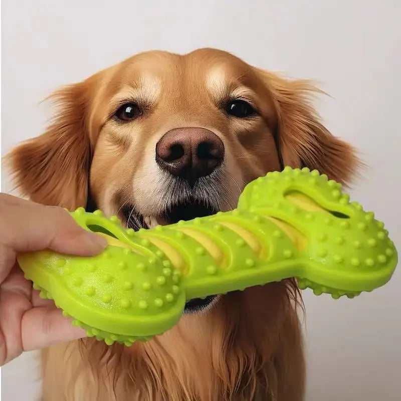 ChompBone Chew Toy