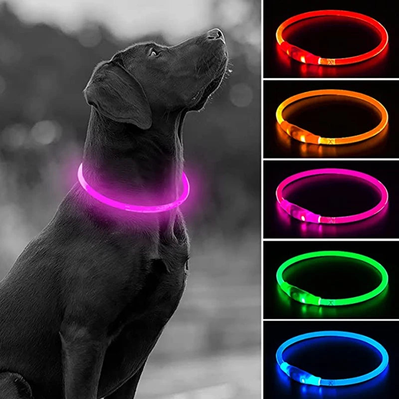 GlowSafe LED Dog Collar