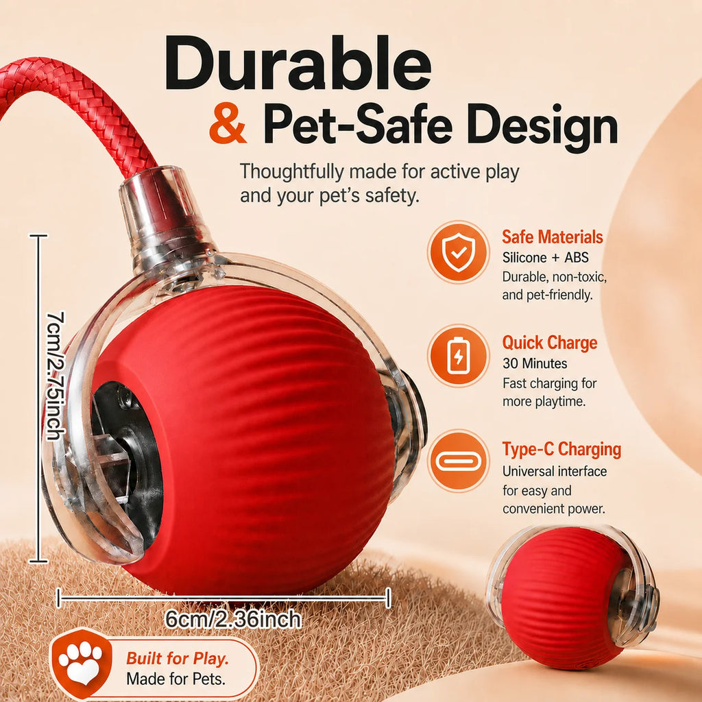 RollBuddy Smart Ball Toy