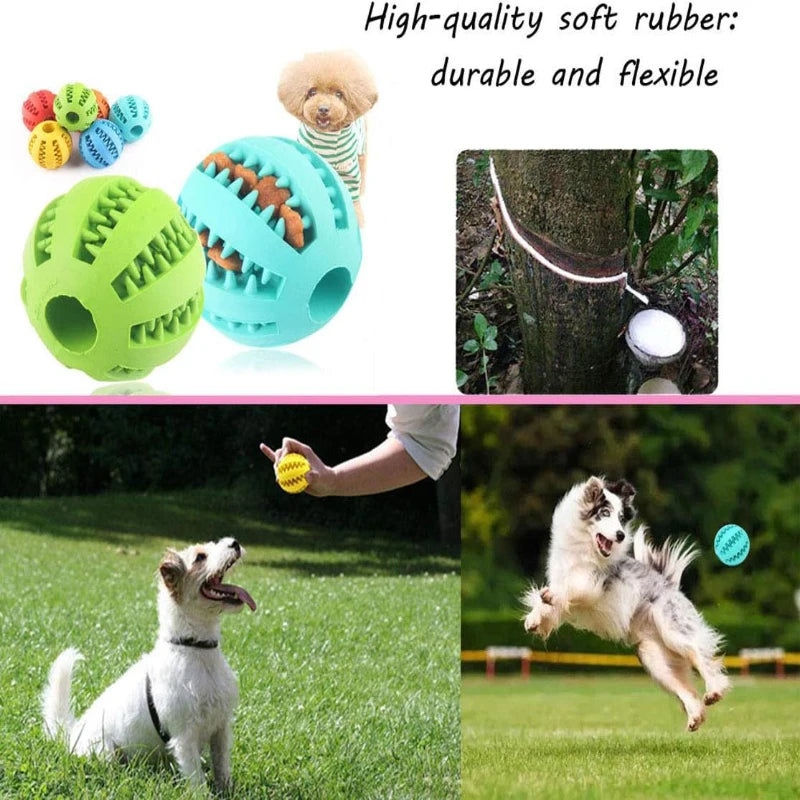 ChewCheck Treat Ball Toy