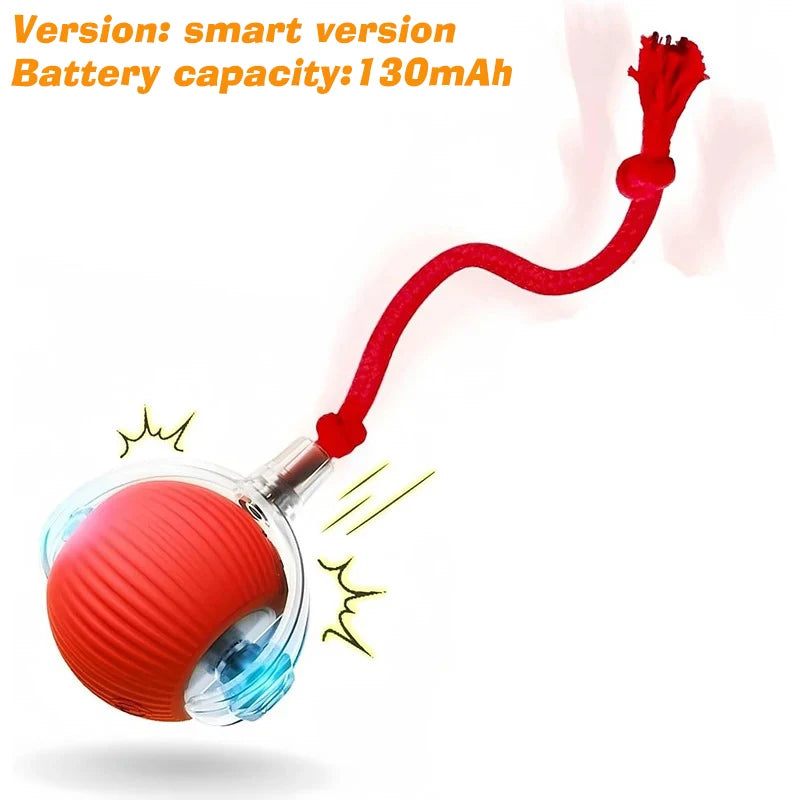RollBuddy Smart Ball Toy