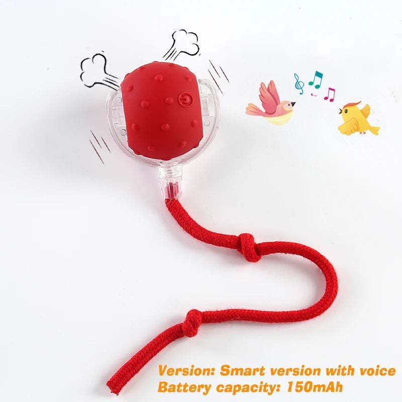 RollBuddy Smart Ball Toy