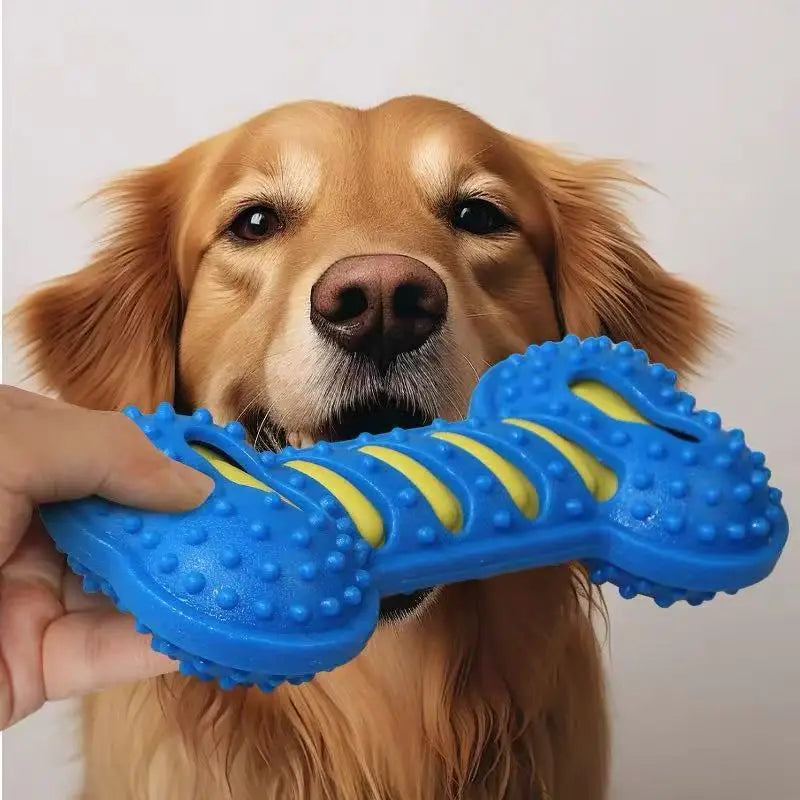 ChompBone Chew Toy