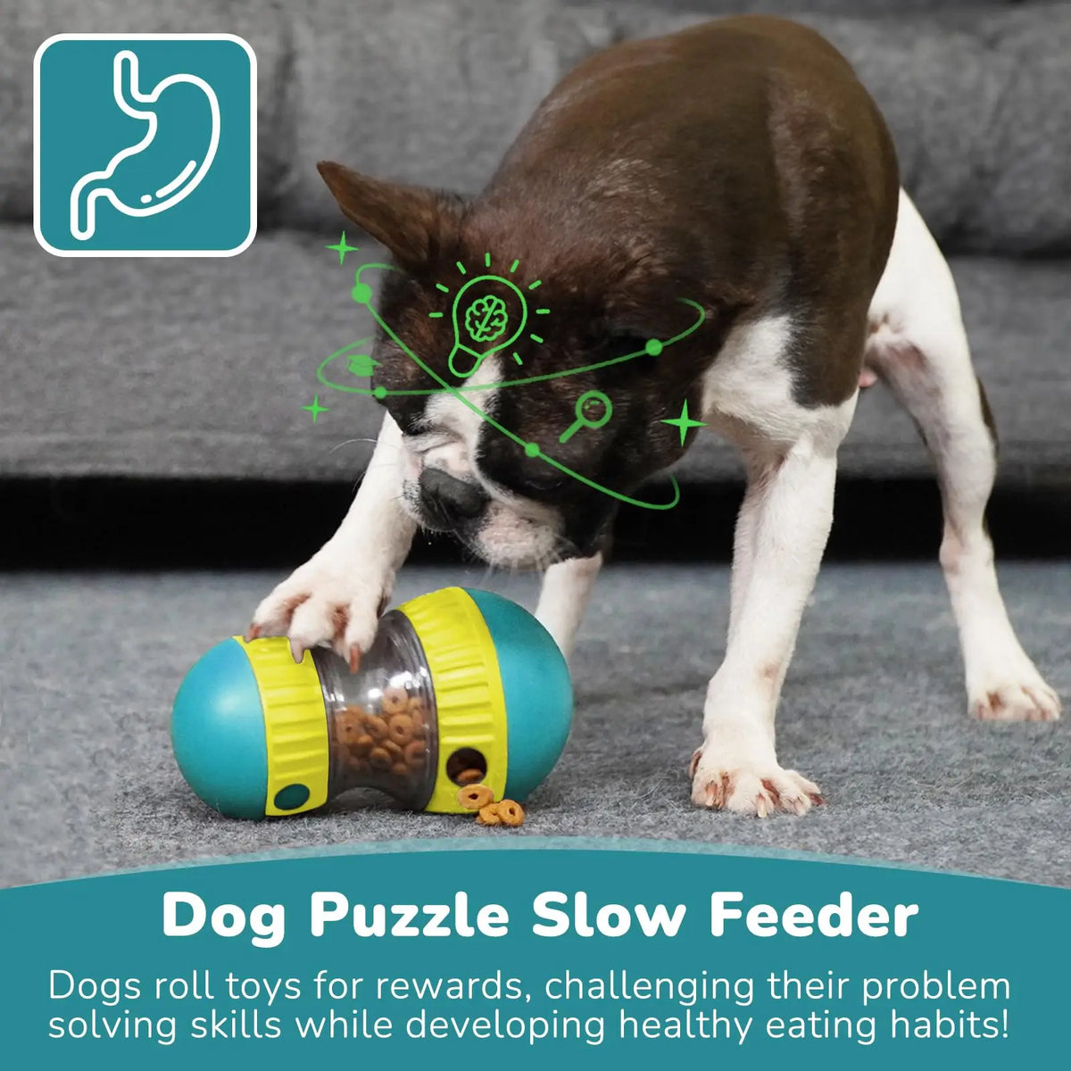 Brainy Treat Tumbler Toy