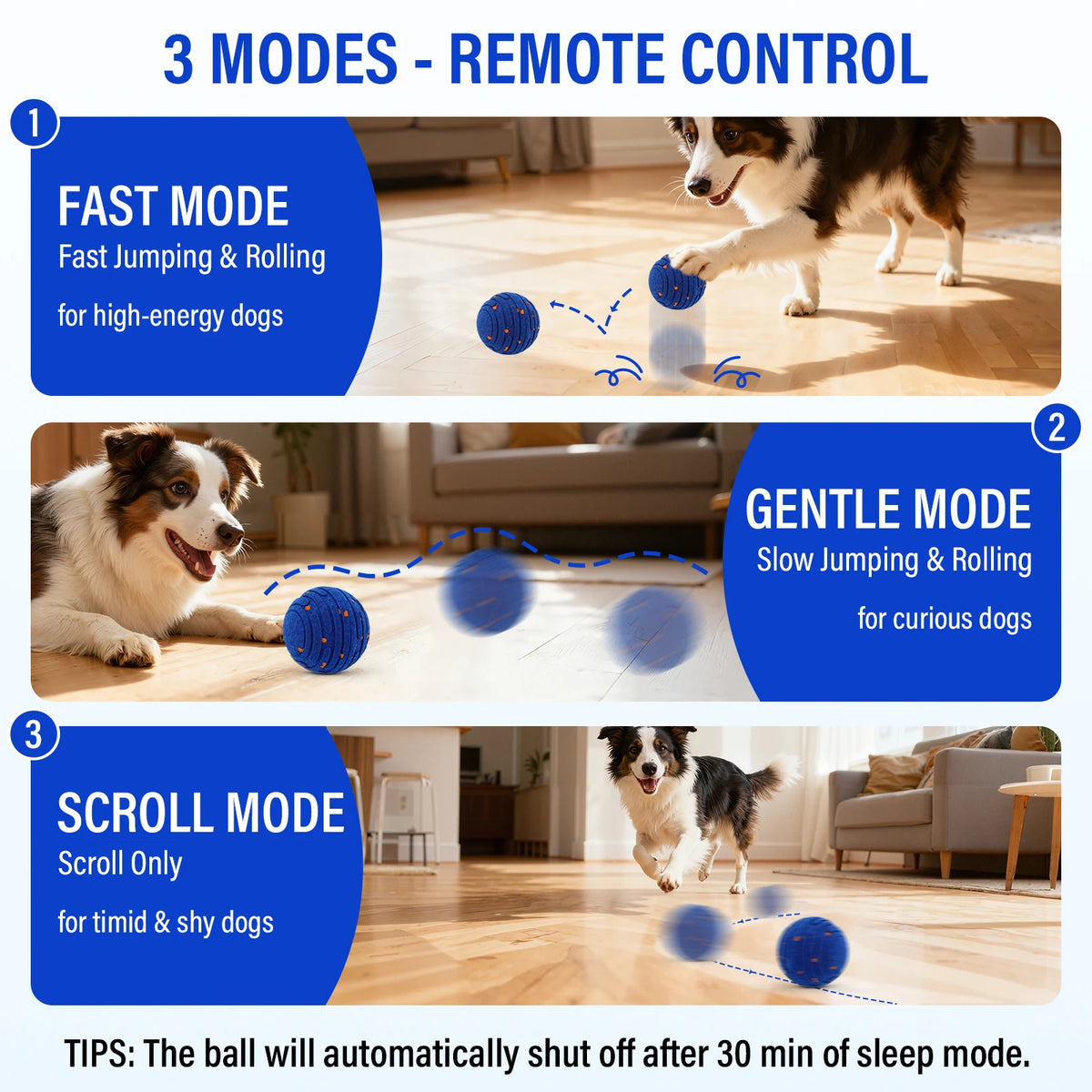 ZoomBall Smart Dog Toy