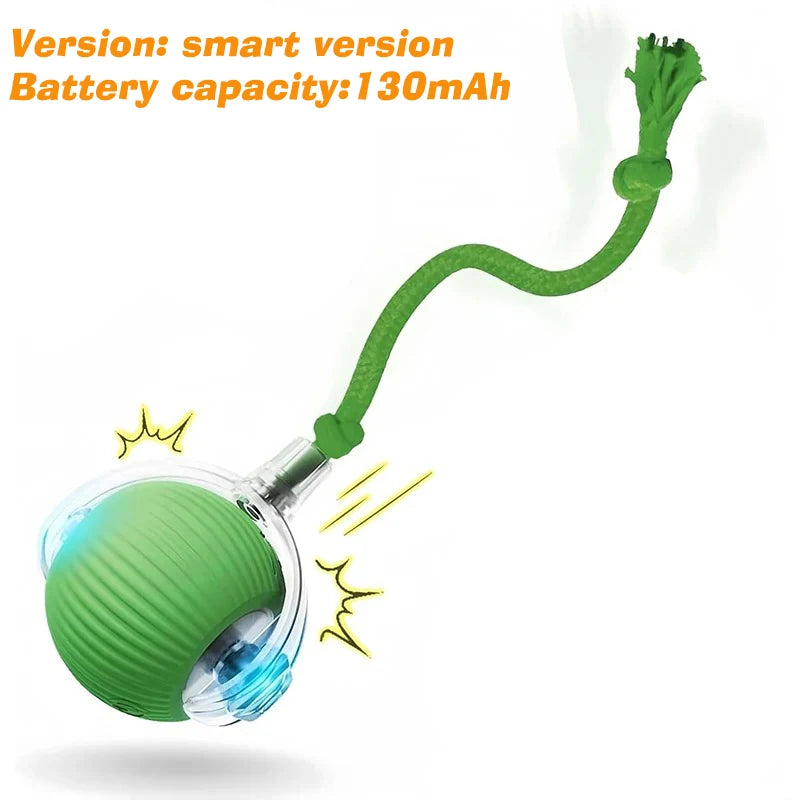 RollBuddy Smart Ball Toy