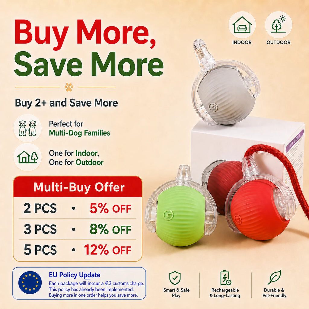 RollBuddy Smart Ball Toy