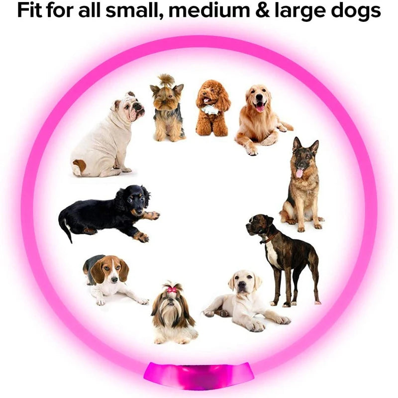 GlowSafe LED Dog Collar