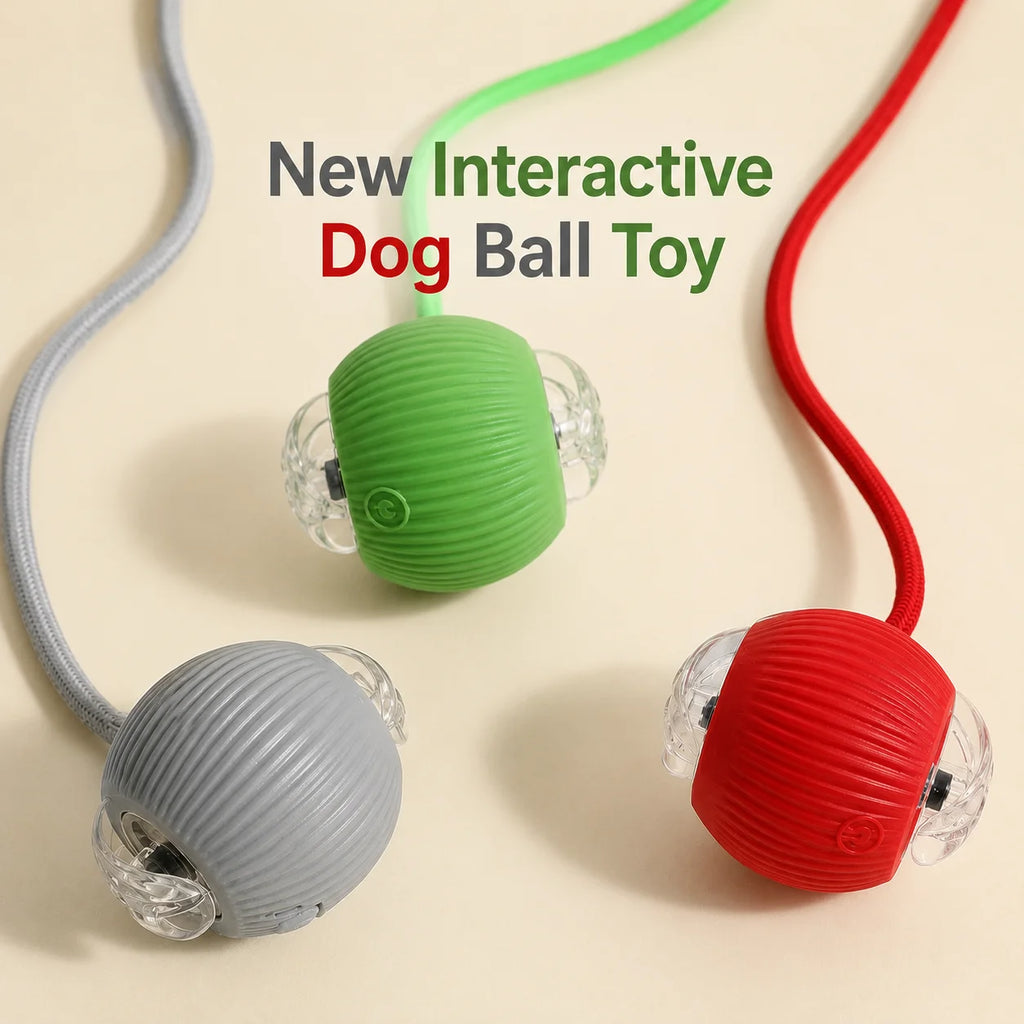 RollBuddy Smart Ball Toy