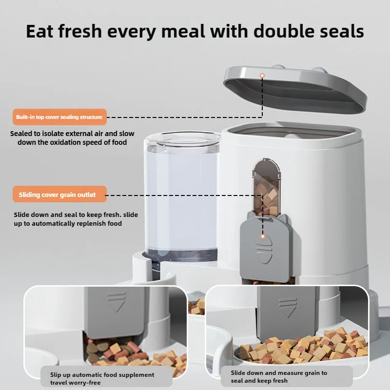 Sip & Snack Auto Feeder Station